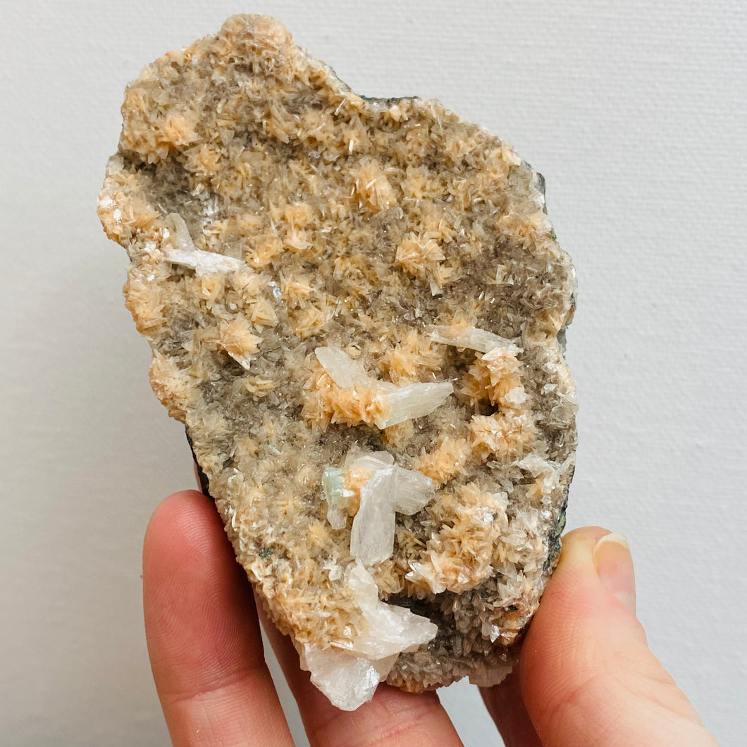 Rare Heulandite & Stilbite Cluster