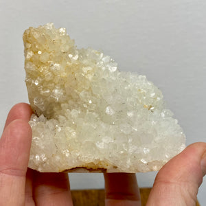 Druzy Apophyllite Cluster